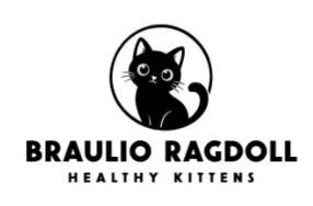 BraulioRagdoll.com